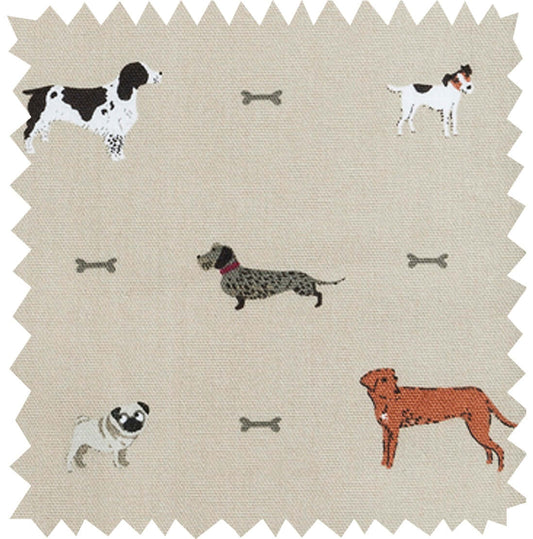 Sophie Allport "Woof" Double Oven Gloves