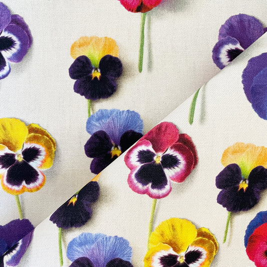 Peonies, Pansy & Roses prints from Michael Angove now in store