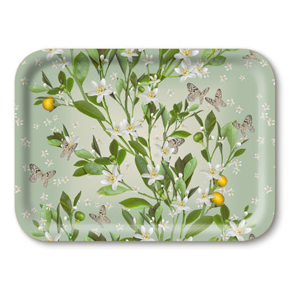 Serving Trays - Michael Angove - Michael Angove Rectangle Tray - Orange Blossom Tray (27 x 20 cm)